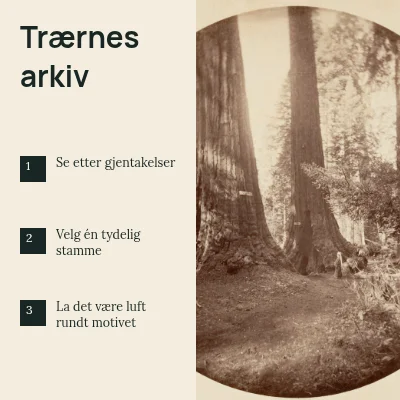 Trærnes arkiv · Fotosjekkliste