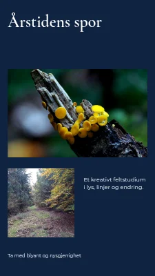 Årstidens spor · panorama serif
