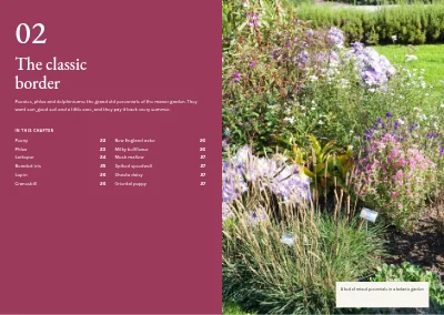 Pages 20–21 of Plant handbook of perennials – 96 pages