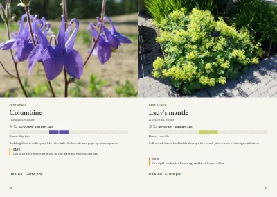 Pages 32–33 of Plant handbook of perennials – 96 pages