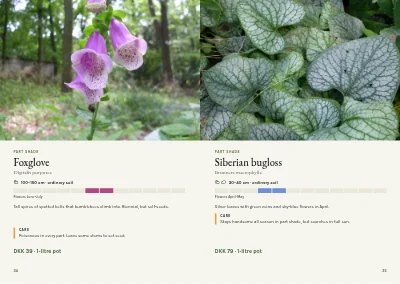 Pages 34–35 of Plant handbook of perennials – 96 pages