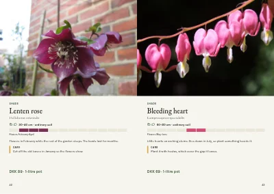 Pages 42–43 of Plant handbook of perennials – 96 pages