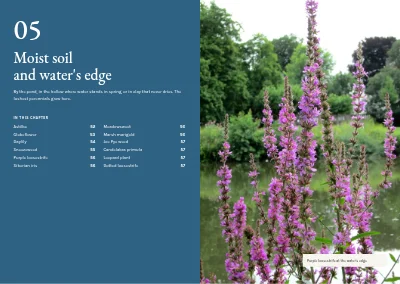 Pages 50–51 of Plant handbook of perennials – 96 pages