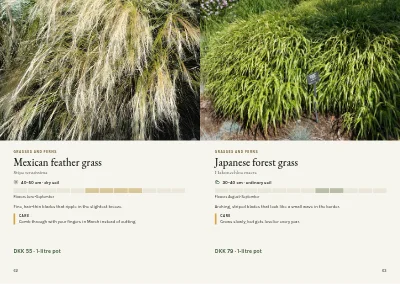 Pages 62–63 of Plant handbook of perennials – 96 pages