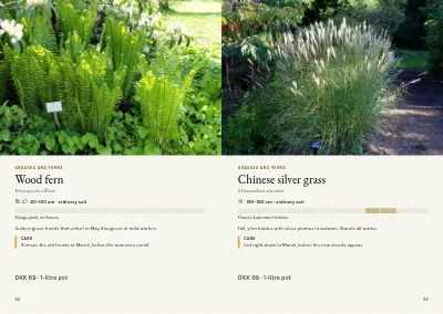 Pages 64–65 of Plant handbook of perennials – 96 pages