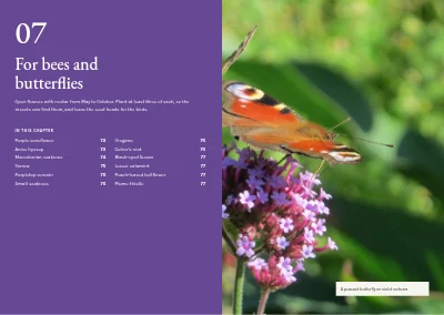 Pages 70–71 of Plant handbook of perennials – 96 pages