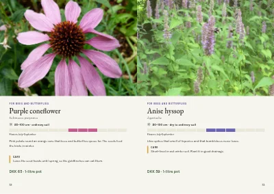 Pages 72–73 of Plant handbook of perennials – 96 pages