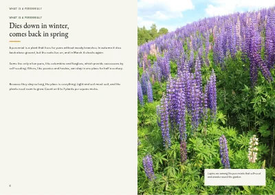 Pages 6–7 of Plant handbook of perennials – 96 pages