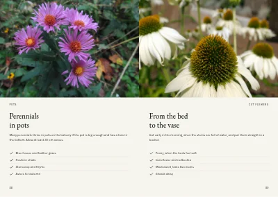 Pages 88–89 of Plant handbook of perennials – 96 pages