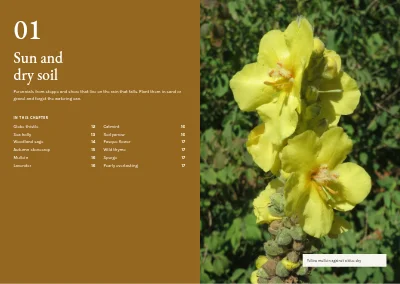 Pages 10–11 of Plant handbook of perennials – 96 pages
