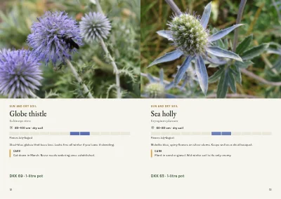Pages 12–13 of Plant handbook of perennials – 96 pages