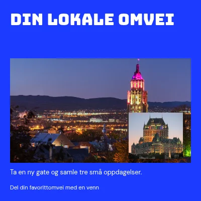 Din lokale avstikker · elektrisk studio