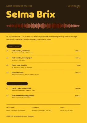 Musiker-CV — albumets bakside