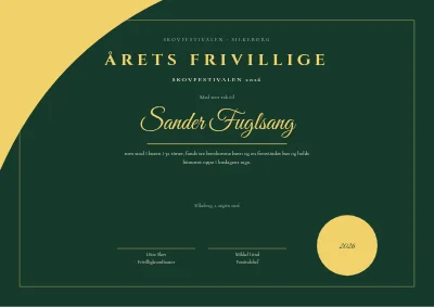 Årets frivillige — festival