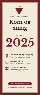 Roll-up til vingård — rundvisning og smagning