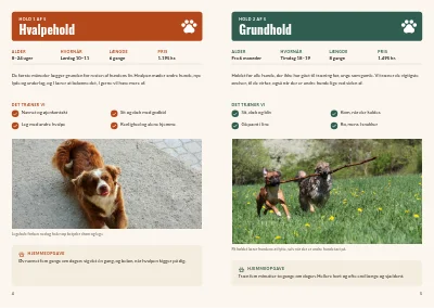 Side 4–5 af Holdkatalog for hundeskole – 12 sider