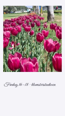 Side 3 av Blomsterfredag · botanisk brev