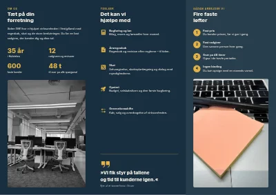 Side 2 af Rådgivningsfirma: ydelser