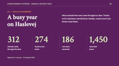Page 3 of Animal welfare — animal shelter annual report