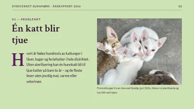 Side 2 av Dyrevelferd — årsrapport for dyrehjem