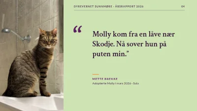 Side 4 av Dyrevelferd — årsrapport for dyrehjem