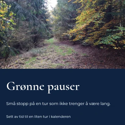 Grønne pauser · panorama med serif