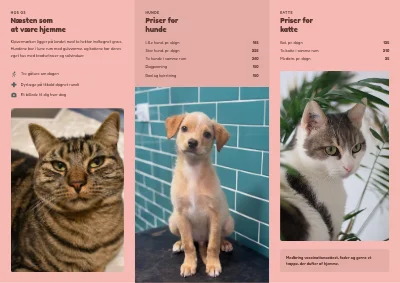 Side 2 af Dyrepension for hunde og katte