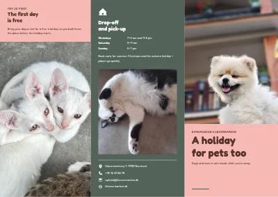 Boarding for dogs and cats