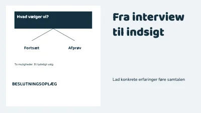 Fra interview til indsigt