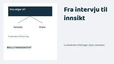 Side 1 av Fra intervju til innsikt