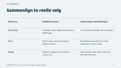 Side 2 av Fra intervju til innsikt