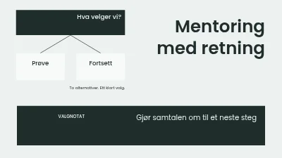 Mentoring med retning