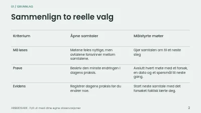 Side 2 av Mentoring med retning