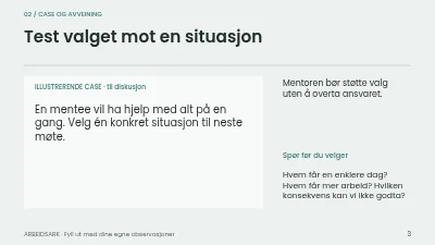 Side 3 av Mentoring med retning