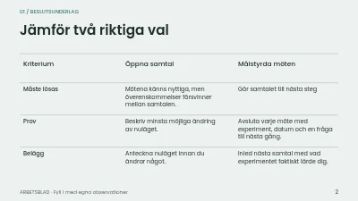 Sida 2 av Mentorskap med riktning