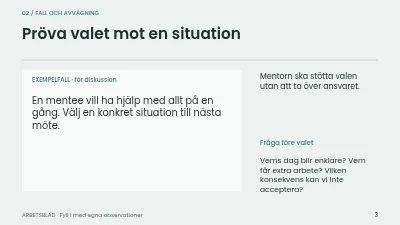 Sida 3 av Mentorskap med riktning