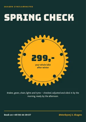 Bike workshop spring check in Skagen