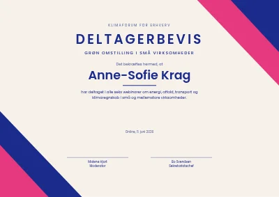 Deltagerbevis — webinarrække