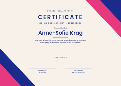 Certificate of participation — webinar series