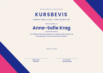 Deltakerbevis — webinarserie