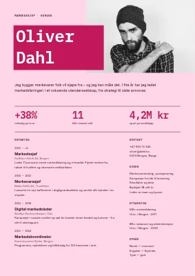 CV for markedssjef — portrett og resultater