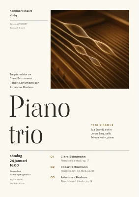 Kammarkonsert — pianotrio i Vejle