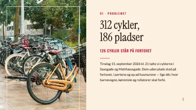 Side 3 af Projektforslag til kommunen — cykelparkering
