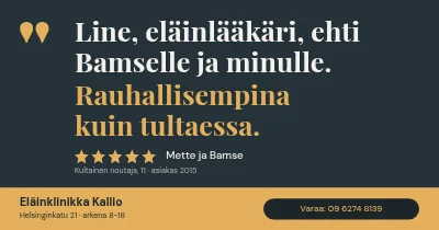Eläinklinikka — asiakaslainaus