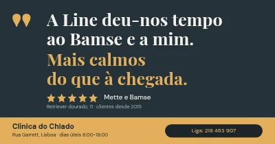 Clínica veterinária — citação de cliente