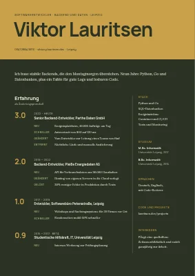 Lebenslauf Softwareentwickler — Changelog