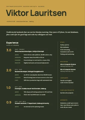 Software developer CV — changelog