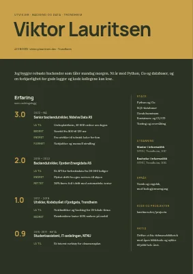 CV for programvareutvikler — endringslogg