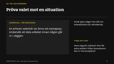 Sida 3 av Hållbart volontärarbete