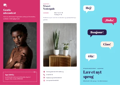 Sprogskole: hold og niveauer